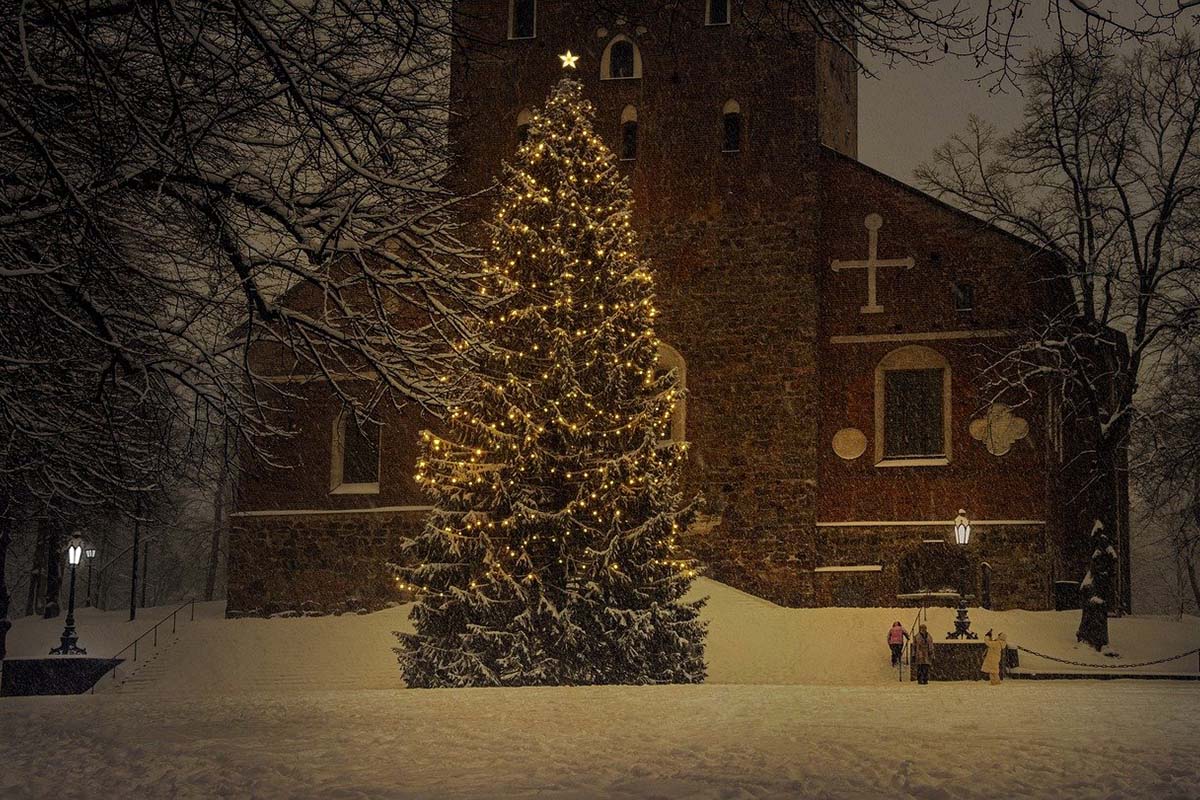 Christmas Tree in Boston